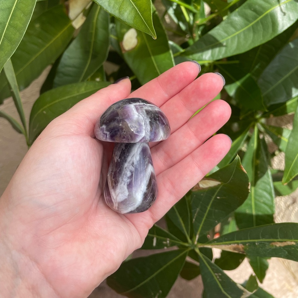 Dream amethyst mushroom